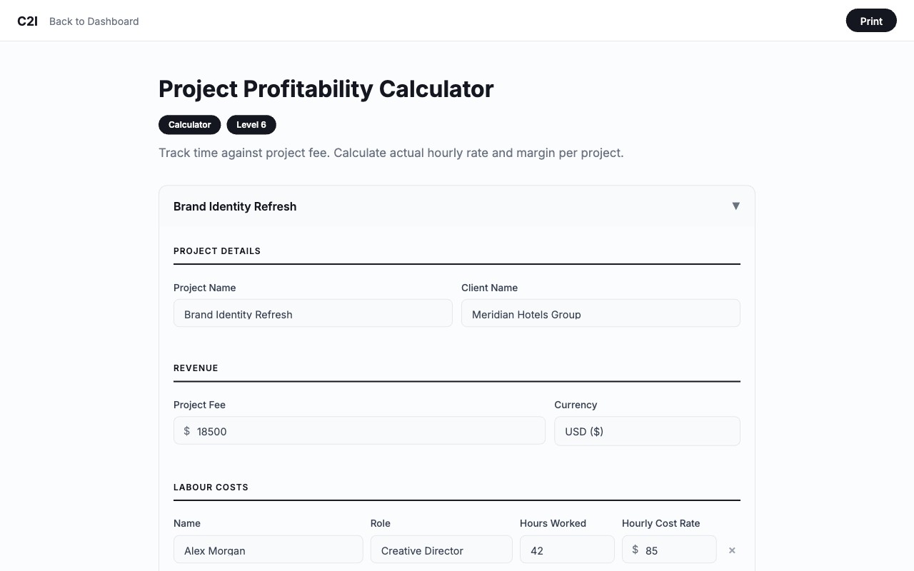 Project Profitability Calculator in C2I